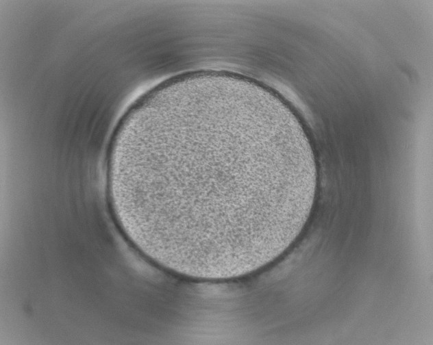 X0000115041032200911231128