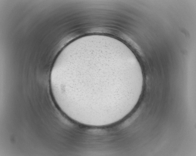 X0000115041033200911231128