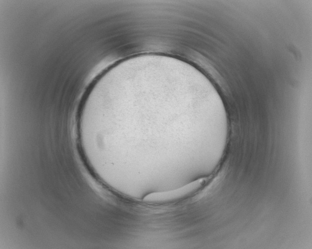 X0000115041034200911231128