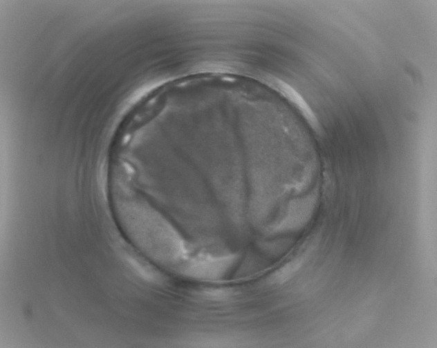 X0000115041035200911231128