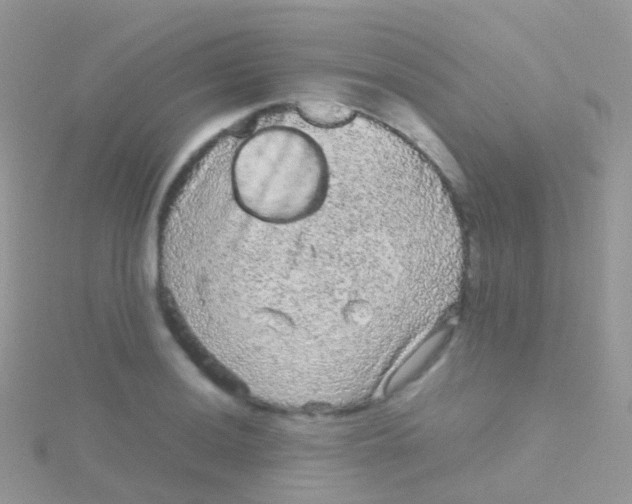 X0000115041036200911231128