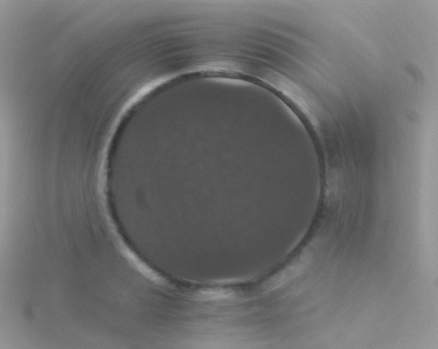 X0000115041037200911231128