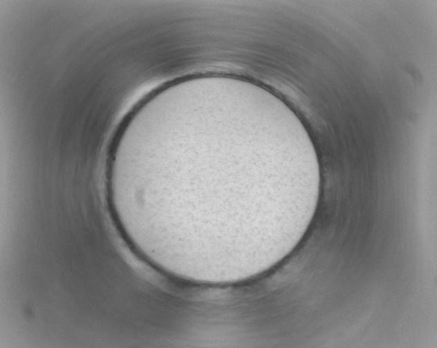 X0000115041038200911231128