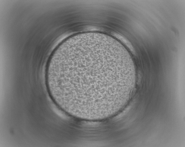 X0000115041039200911231128