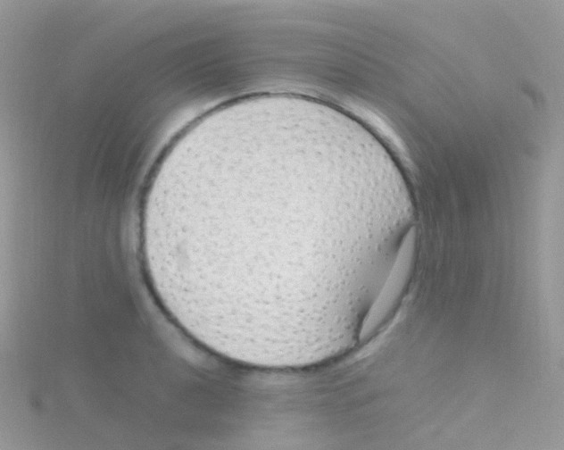 X0000115041040200911231128