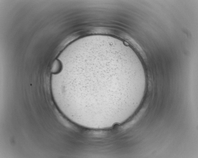 X0000115041041200911231128