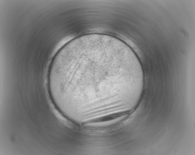 X0000115041042200911231128