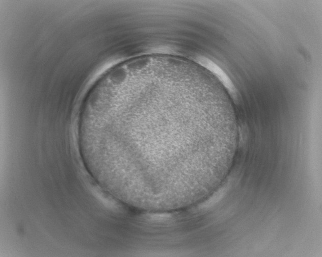 X0000115041043200911231128