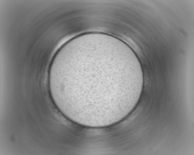 X0000115041044200911231128