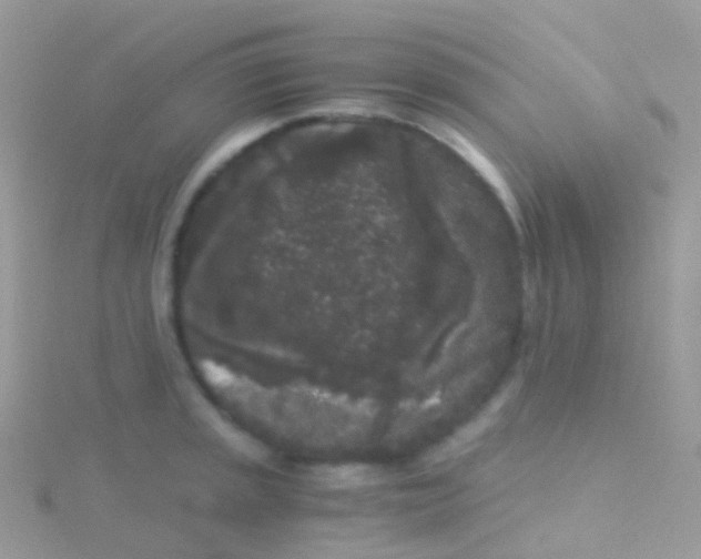 X0000115041045200911231128