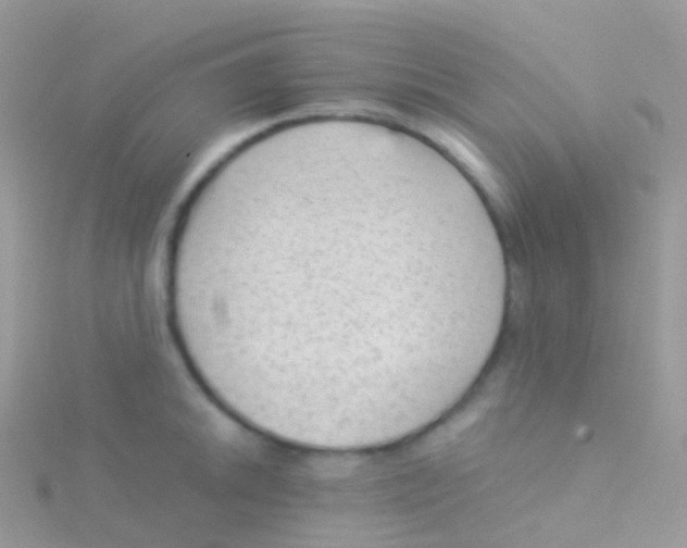 X0000115041046200911231128