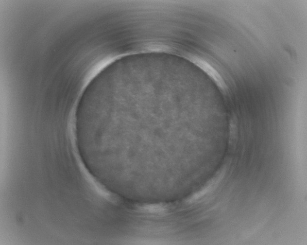 X0000115041047200911231129