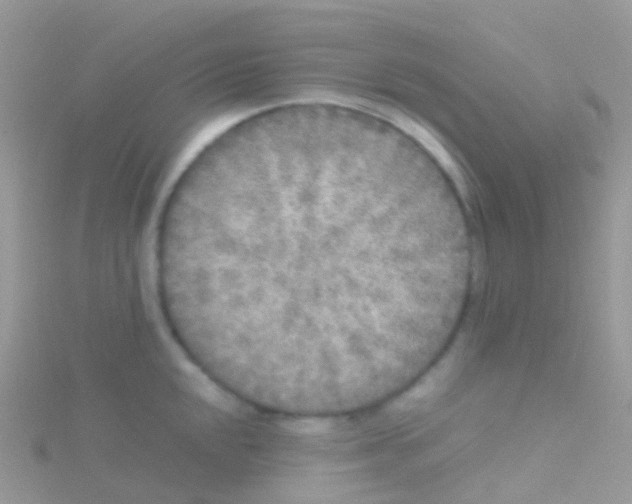 X0000115041048200911231129