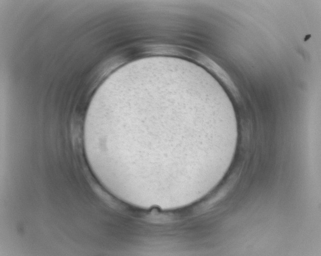 X0000115041049200911231129