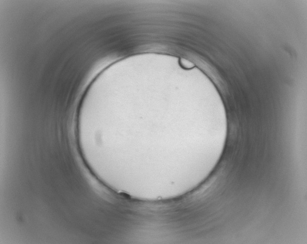 X0000115041050200911231129