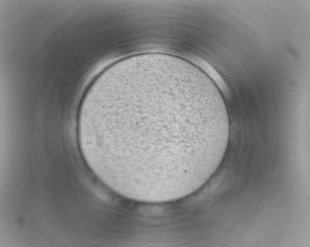 X0000115041051200911231129