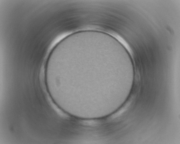 X0000115041053200911231129