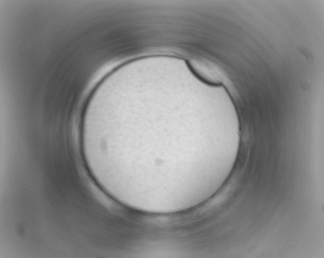 X0000115041054200911231129