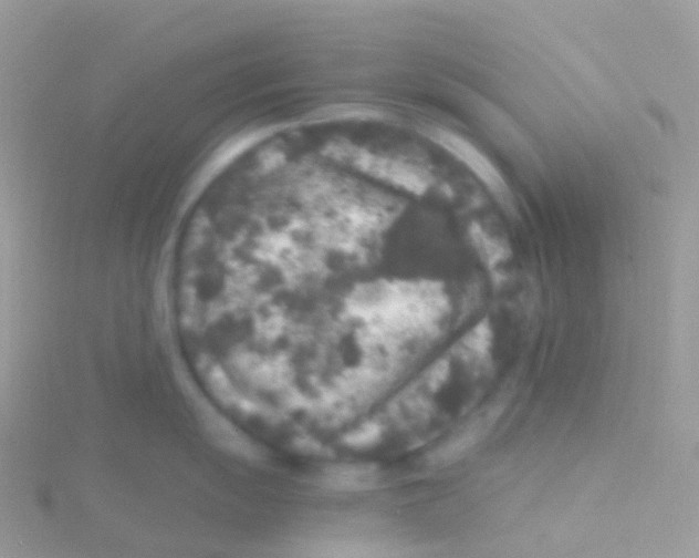 X0000115041055200911231129