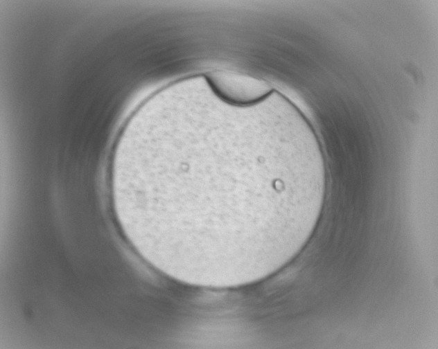 X0000115041056200911231129