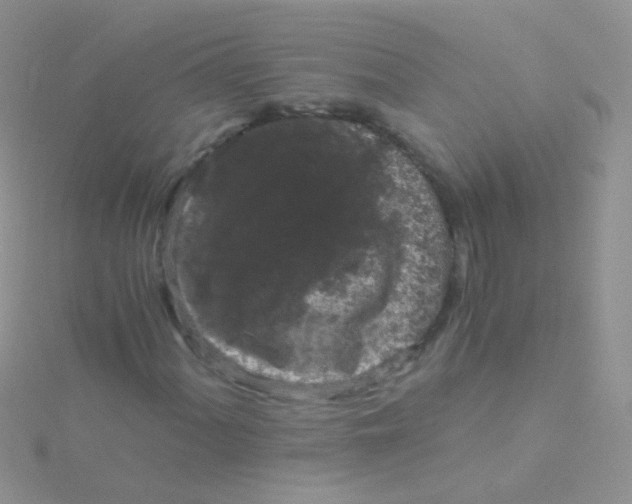 X0000115041060200911231128