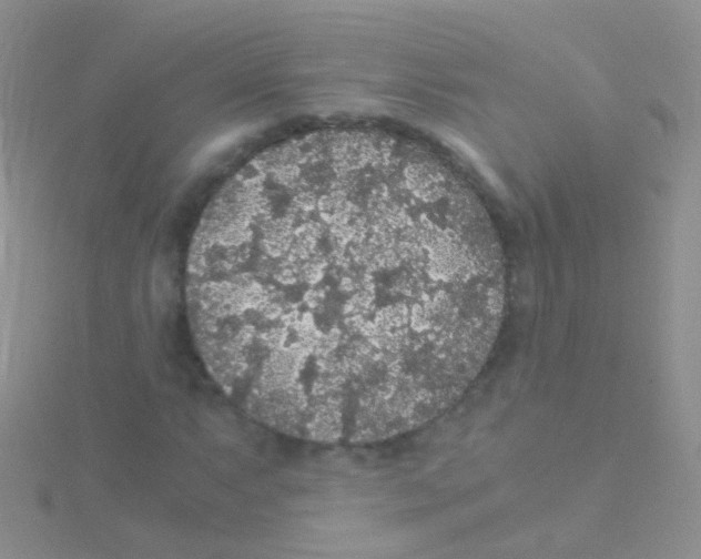 X0000115041063200911231128