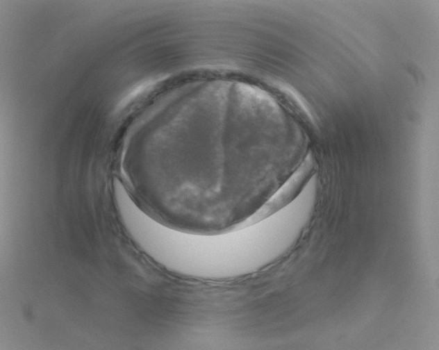 X0000115041064200911231128