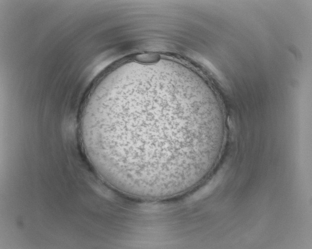 X0000115041065200911231128