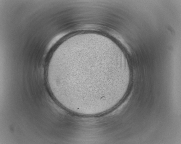 X0000115041066200911231128