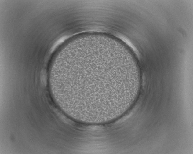 X0000115041067200911231128