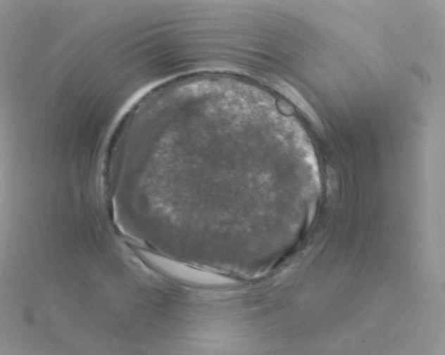 X0000115041068200911231128