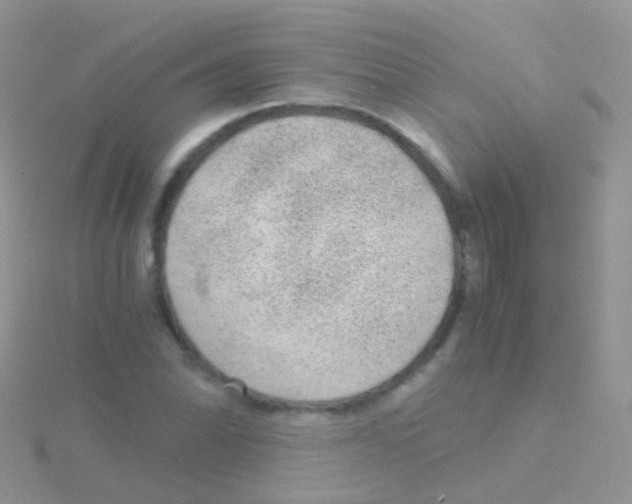 X0000115041070200911231128