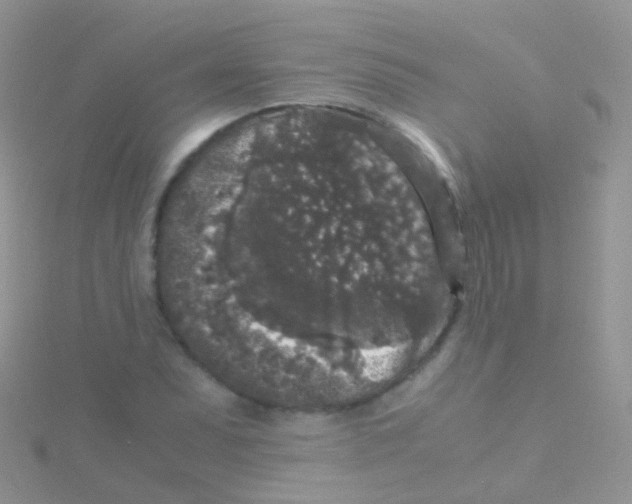 X0000115041071200911231128