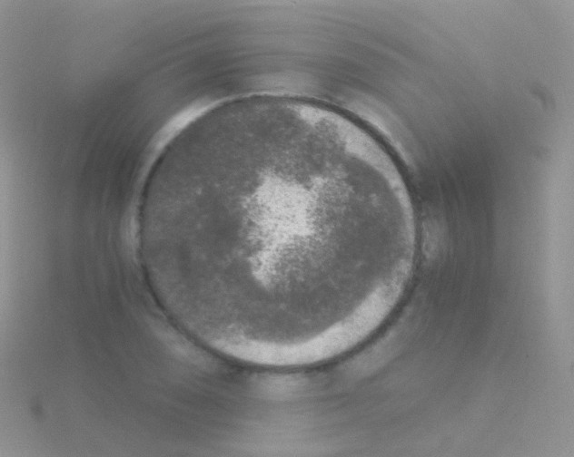 X0000115041074200911231128