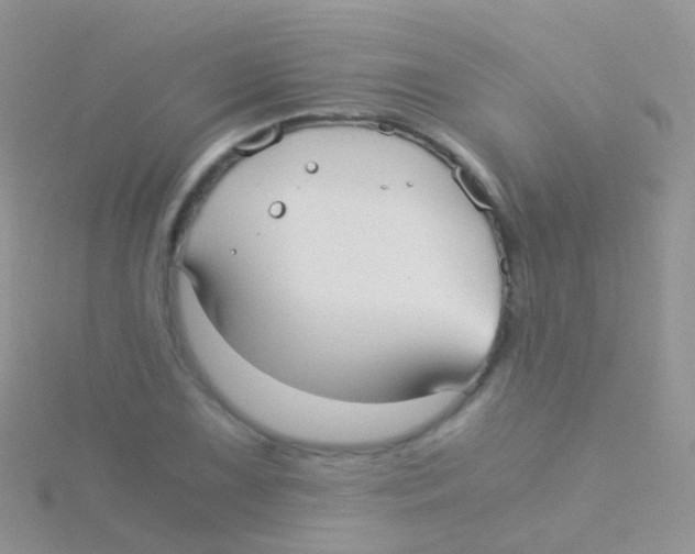 X0000115041075200911231128