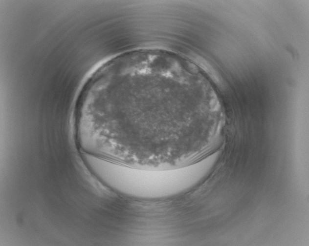 X0000115041076200911231128