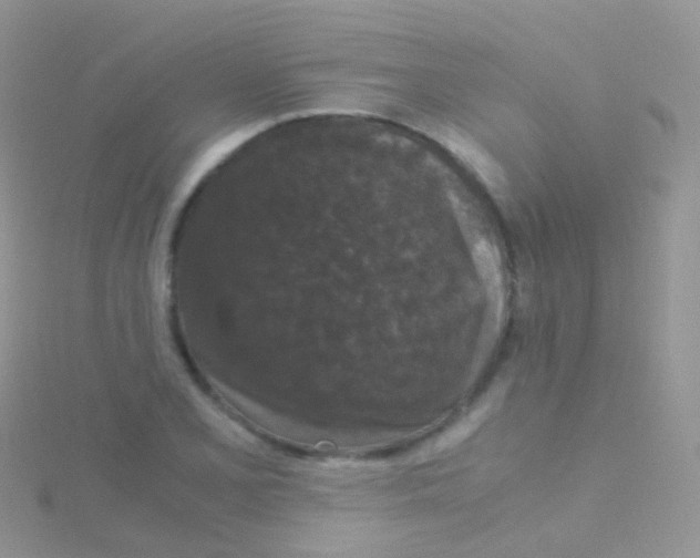 X0000115041077200911231128