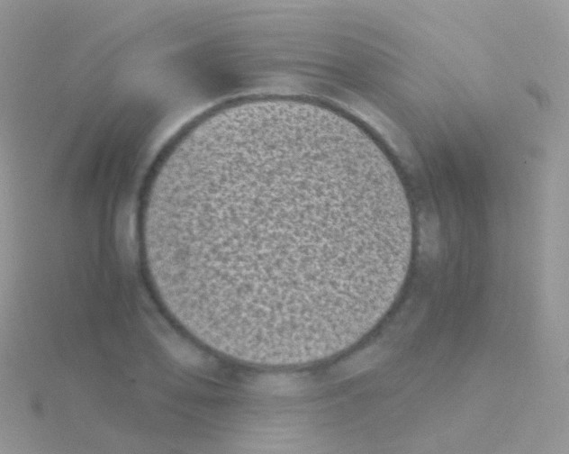 X0000115041078200911231128