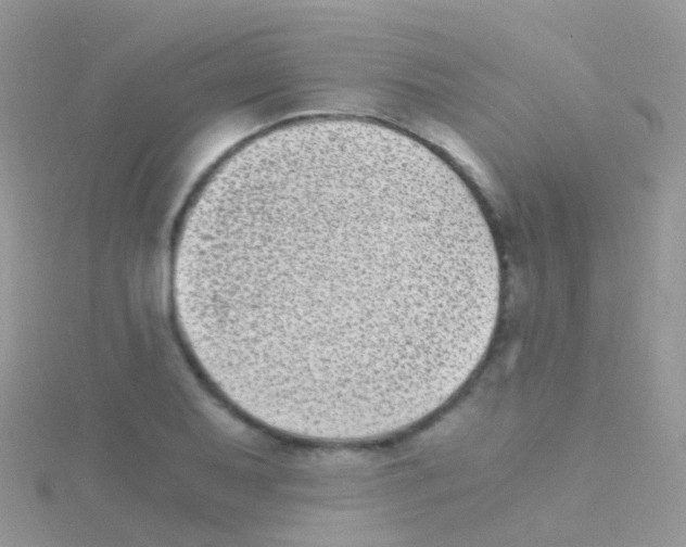 X0000115041079200911231128