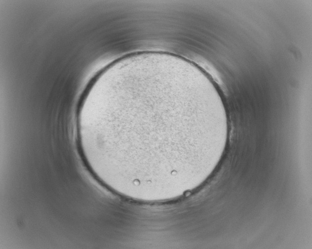 X0000115041080200911231128