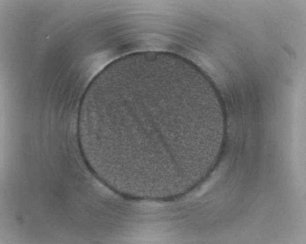 X0000115041081200911231128