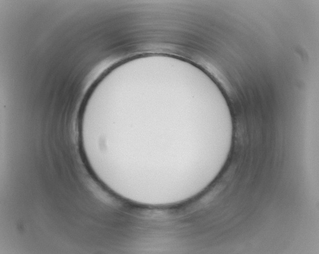 X0000115041082200911231128