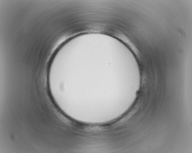 X0000115041083200911231128