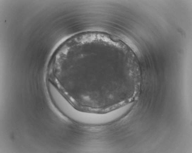 X0000115041084200911231128