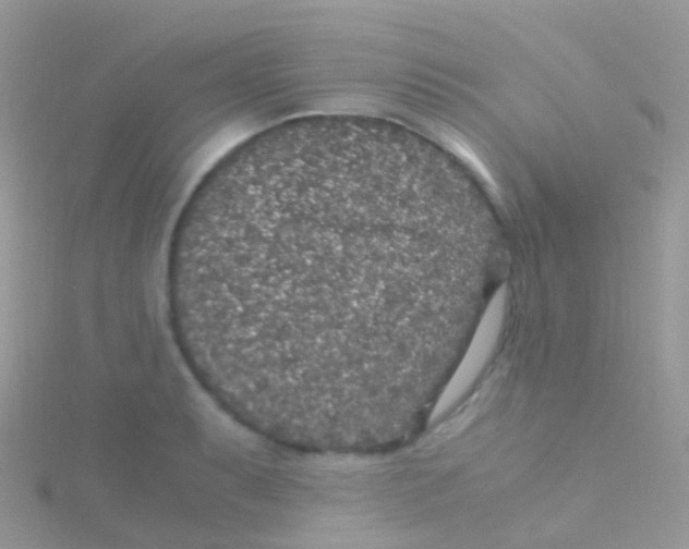 X0000115041087200911231128