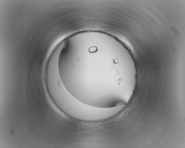 X0000115041088200911231128