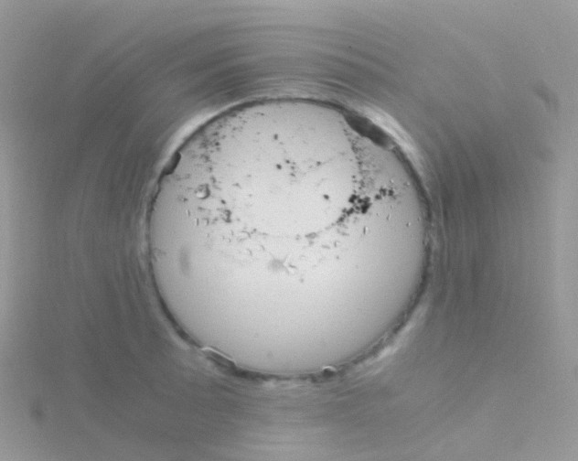 X0000115041089200911231128