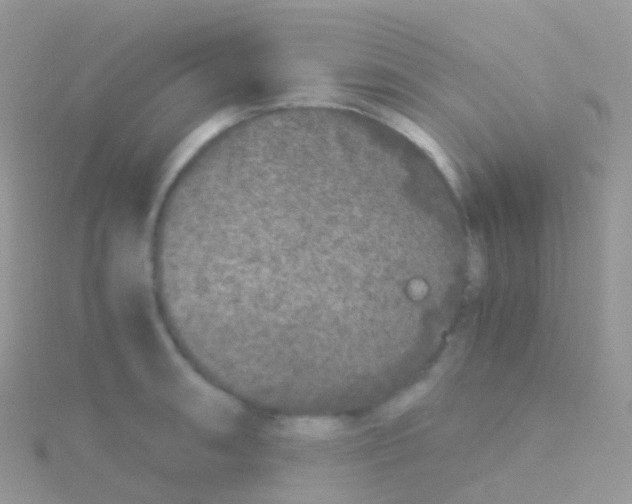 X0000115041090200911231128