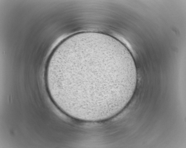 X0000115041091200911231128