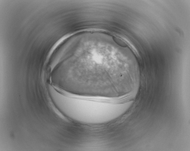 X0000115041092200911231128